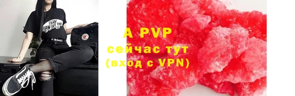 эйфоретик Богданович
