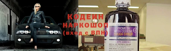 эйфоретик Богданович