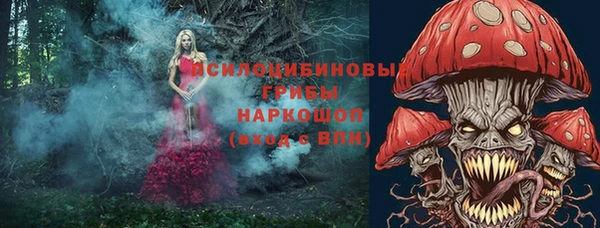 эйфоретик Богданович