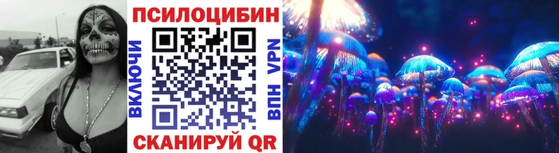 где можно купить   darknet наркотические препараты  Галлюциногенные грибы мицелий  Мценск 